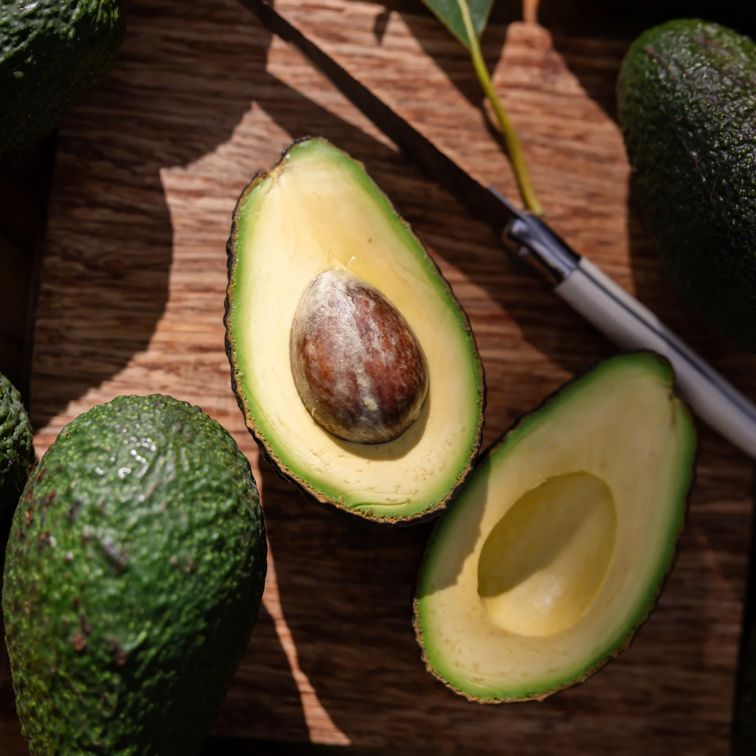 Camissa Farm Avocados